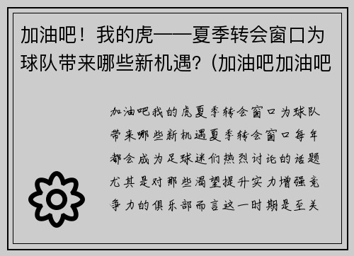 加油吧！我的虎——夏季转会窗口为球队带来哪些新机遇？(加油吧加油吧我们加油吧)