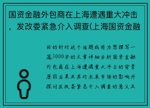 国资金融外包商在上海遭遇重大冲击，发改委紧急介入调查(上海国资金融控股集团)